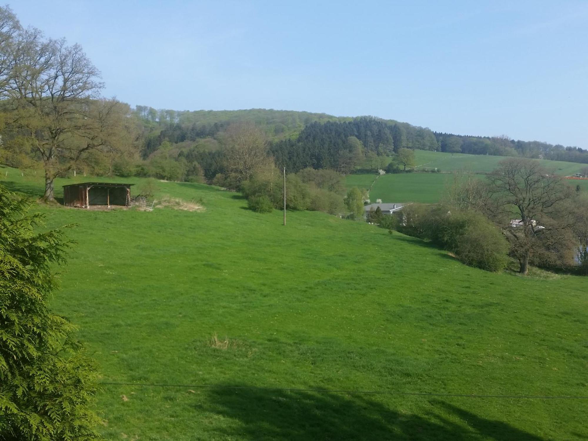 Fewo Am Wald Balve Habitación foto
